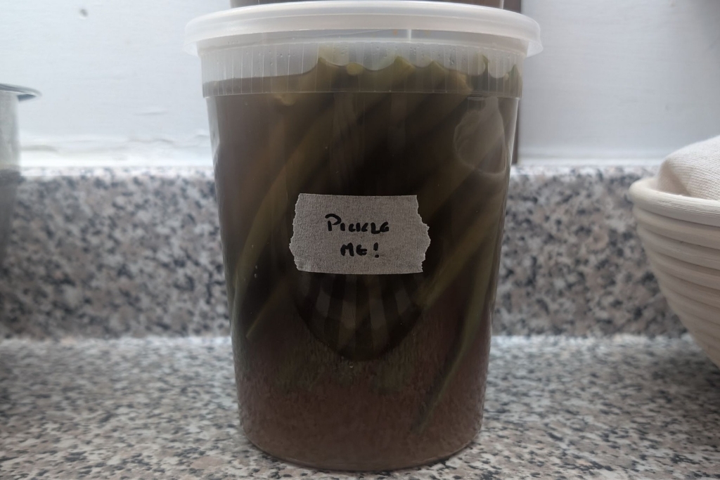 Picture of green beaner brine
